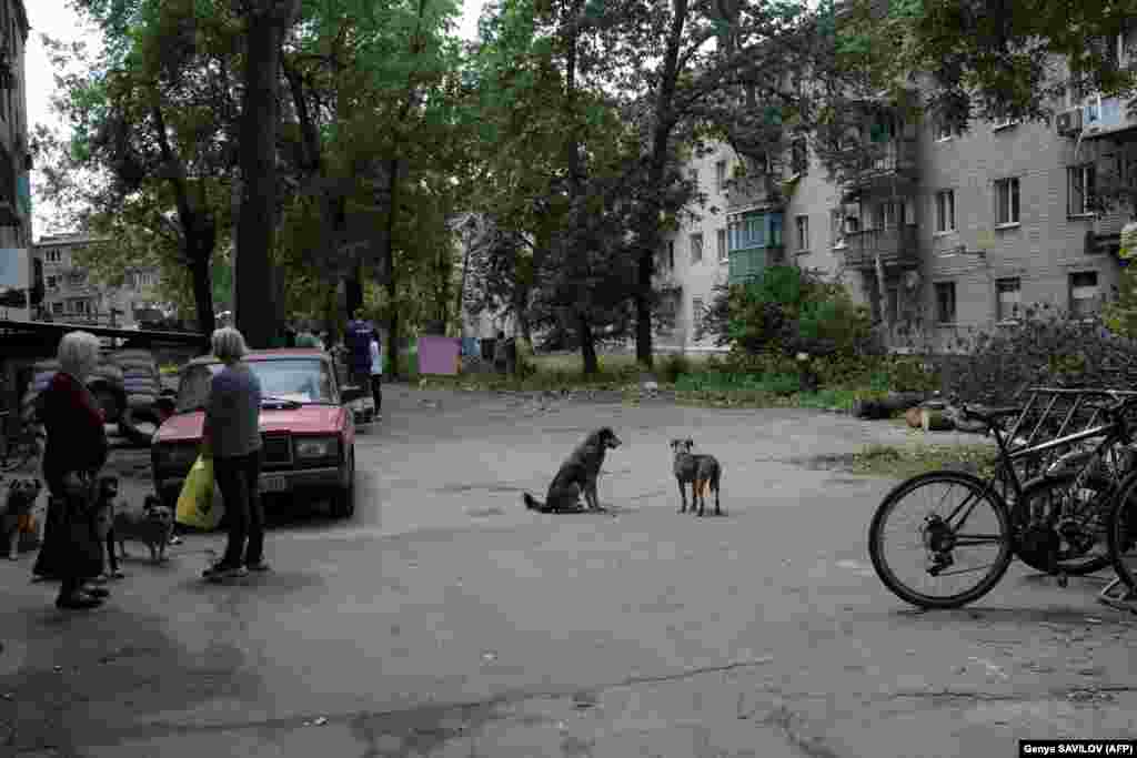 Місцеві жителі збираються біля волонтерського пункту, де вони отримують їжу та гарячі напої. Тут люди можуть скористатися Інтернетом, подивитися телевізор і зарядити свої пристрої. Тут також є пральні машини та душові, та через забруднення води, вони більше не придатні для використання