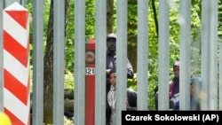 Мігранты на мяжы Беларусі і Польшчы