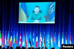 Президент України Володимир Зеленський виступає по відеозв'язку на Парламентській асамблеї НАТО в Копенгагені 9 жовтня. Він провів паралелі між нападом «Хамасу» на Ізраїль і вторгненням в Україну, назвавши «Хамас» «терористичною організацією», а Росію – «терористичною державою»