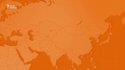 Действия США после ссоры Трампа и Зеленского