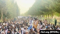 د سولې ولسي حرکت