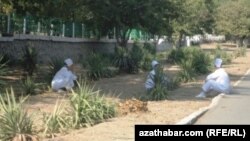 Lukmanlar hassahananyň howlusyny arassalaýarlar. Aşgabat (illýustrasiýa suraty)