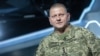 За словами Валерія Залужного, він розповів Бюркару про стан справ на передовій