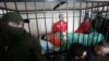 Розгляд справи Насірова перенесли на понеділок – секретар суду