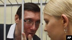 Юрій Луценко і Юлія Тимошенко, Київ, червень 2011 року