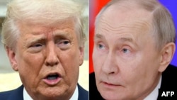 Дональд Трамп и Владимир Путин