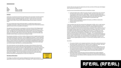 Paul Manafort, un lobbyist republican veteran care a lucrat pentru fostul președinte ucrainean Viktor Ianukovici, l-a adus pe Andrei Portnov la Washington, D.C., în 2013, pentru a ajuta la atenuarea criticilor SUA la adresa administrației Ianukovici.