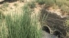 Один из регионов Узбекистана с наиболее загрязненной водой.