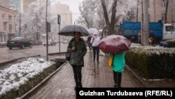 Bişkek köçesiniň gözelligi