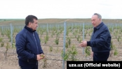 Президент Казахстана Нурсултан Назарбаев и президент Узбекистана Шавкат Мирзияев (слева) во время визита в Южно-Казахстанскую область. 29 апреля 2017 года.