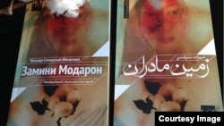 "Замини модарон" яке дигар аз романҳои Шаҳзода роҷеъ ба мушкили зани замонавии тоҷик баҳс мекунад