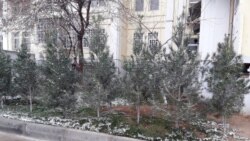 Lebaba we Mara sowuk howa aralaşdy, sebite gar ýagdy