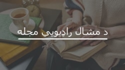 شمس فګار وايي په پردېسۍ کې د پښتو ادب پالنه ډېر زیار غواړي