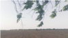 16x9 Image