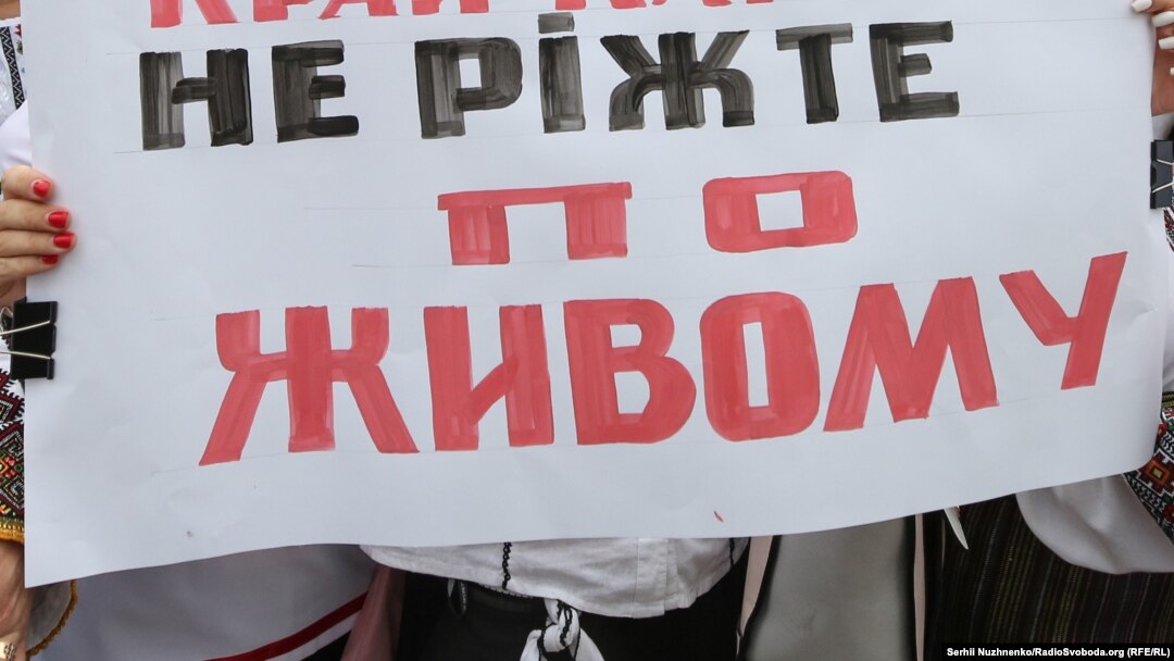 Акція протесту проти укрупнення районів під Верховною Радою. Київ, 14 липня 2020 року