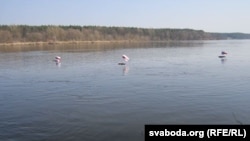 Бел-чырвона-белыя сьцягі плывуць па Нёмане блізу Мастоў