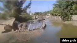 Suw basan oba